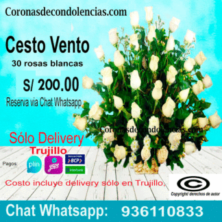Cesto Vento