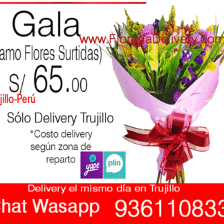 Ramo Gala
