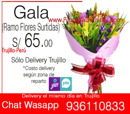 Ramo Gala