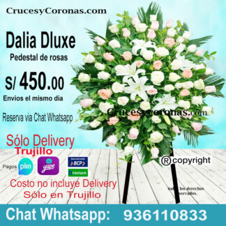 corona dalia  delux